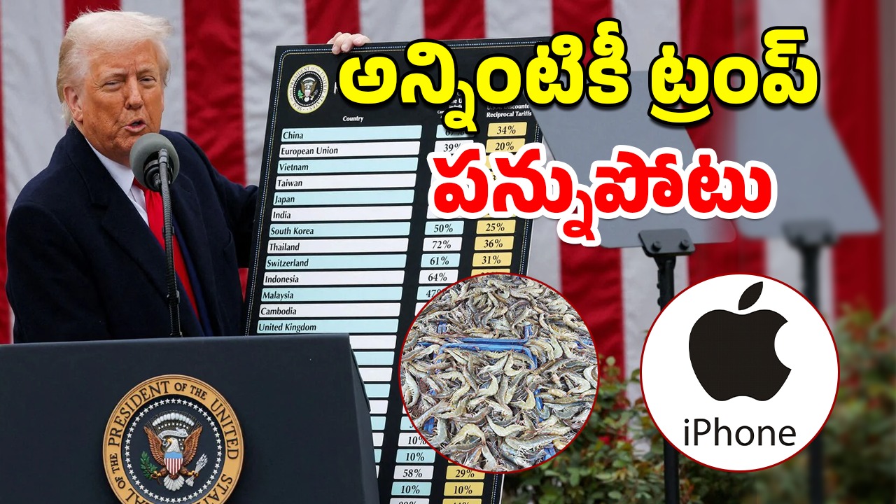 Trump Tariff Iphone: ట్రంప్ దెబ్బకు ఐఫోన్ ధరలు పైపైకి.. రొయ్యల రేట్లు కిందికి
