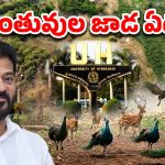Kancha Gachibowli: HCU వివాదంలో బయటపడ్డ భయంకర నిజాలు.. జంతువులు ఉంటే జాడ ఏది.?