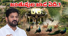 Kancha Gachibowli: HCU వివాదంలో బయటపడ్డ భయంకర నిజాలు.. జంతువులు ఉంటే జాడ ఏది.?