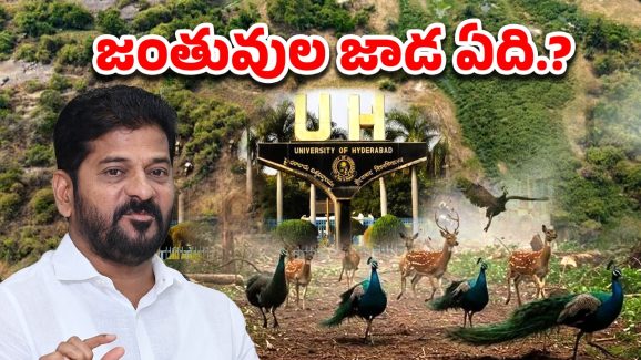 Kancha Gachibowli: HCU వివాదంలో బయటపడ్డ భయంకర నిజాలు.. జంతువులు ఉంటే జాడ ఏది.?