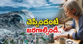 Vishwambhara : సెంటిమెంట్ అంటే కుదరదు అన్నయ్యా.. ఇకనైనా రియాల్టీ లోకి రా..!