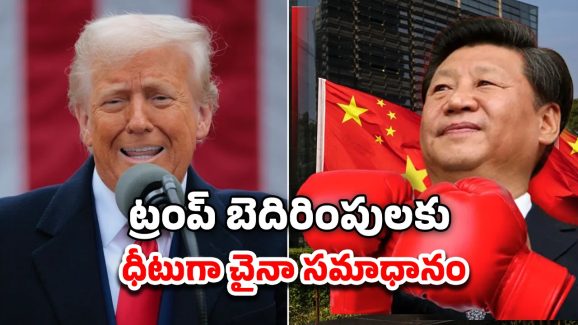 Trump Tariff China: ట్రంప్‌ సలహాదారుడు ఓ మూర్ఖుడు.. చైనాపై 104 శాతం సుంకాలు విధించిన అమెరికా