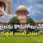Supreme Court Infants Purchase: మీది కడుపుకోత ఎలా అవుతుంది?.. పసికందులను కొనుగోలు చేసినవారిపై సుప్రీం ఆగ్రహం