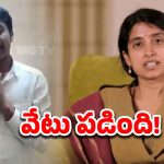 TDP Serious: వైఎస్ భారతిపై అసభ్యకర పోస్టు.. ఐటీడీపీ కార్యకర్తపై హైకమాండ్ ఆగ్రహం, ఆపై..