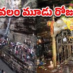 Saleshwaram Jathara: సలేశ్వరం జాతర మొదలు..  వెయ్యి అడుగుల లోతులో లింగమయ్య దర్శనం