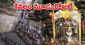 Saleshwaram Jathara: సలేశ్వరం జాతర మొదలు..  వెయ్యి అడుగుల లోతులో లింగమయ్య దర్శనం