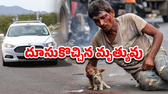 Man Die Kitten Save: రోడ్డు ప్రమాదంలో గాయపడిన మూగజీవి.. కాపాడబోయి యువకుడు మృతి