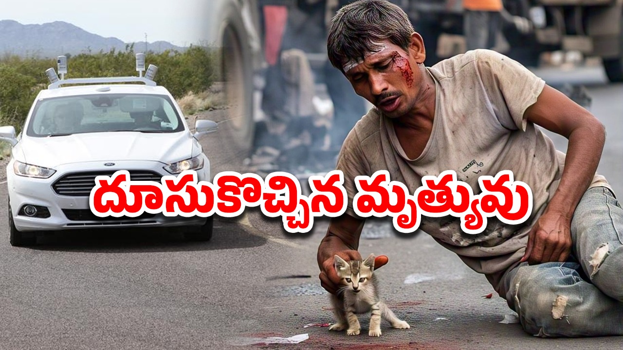 Man Die Kitten Save: రోడ్డు ప్రమాదంలో గాయపడిన మూగజీవి.. కాపాడబోయి యువకుడు మృతి