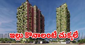 OG OTT: ఫ్యాన్సీ ధరకు అమ్ముడుపోయిన ఓజీ ఓటీటీ రైట్స్..!