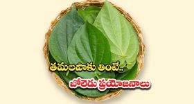 Viral News : మామిడి చెట్లకు పెళ్లి.. ఎందుకు చేశారో తెలిస్తే...