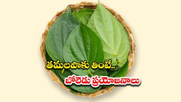 Betel Leaves: తమలపాకు తింటే.. ఇన్ని లాభాలుంటాయా ?