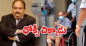 Bhu Bharati Act: అమల్లోకి భూ భారతి చట్టం.. పోర్టల్‌లో ఉండే సేవలు ఇవే..