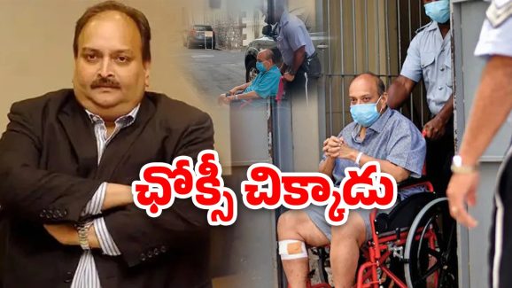 Mehul Choksi Arrest: డైమండ్ వ్యాపారి మెహుల్‌ ఛోక్సీ అరెస్ట్.. రూ.13,500 కోట్లు, భారత్‌కు రప్పిస్తారా?