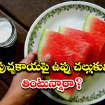 Salted Watermelon: పుచ్చకాయపై ఉప్పు చల్లుకుని తినాలా ? వద్దా ?