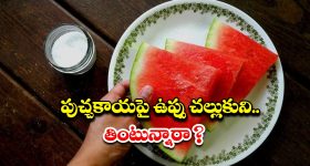 Salted Watermelon: పుచ్చకాయపై ఉప్పు చల్లుకుని తినాలా ? వద్దా ?