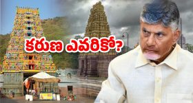 Salted Watermelon: పుచ్చకాయపై ఉప్పు చల్లుకుని తినాలా ? వద్దా ?