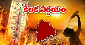 Telangana Govt: ప్రభుత్వం కీలక నిర్ణయం.. విపత్తుగా ప్రకటన