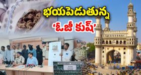 Ambati Rambabu New Business: 5 నెలల్లో 7 లక్షలు.. అంబటి తెలివికి షాక్‌లో వైసీపీ