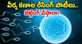 Snake Shaped Temple: పాము ఆకారంలో గుడి..! పడగలపై తాండవం చేస్తున్న కృష్ణయ్య..