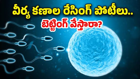 Sperm Racing Event: పురుషుల్లో సంతానలేమి సమస్యలు.. ప్రపంచంలోనే తొలిసారి స్పెర్మ్ రేసింగ్ పోటీలు