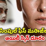 Summer Oily Skin: వేసవిలో చర్మం జిడ్డుగా ఉంటోందా?.. ఉదయాన్నే ఈ చిట్కాలు పాటించండి మెరిసిపోతారు