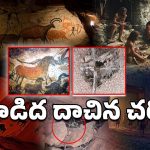 Jwalapuram: రాతియుగ చరిత్రను తిరగరాసిన జ్వాలాపురం.. బయటపడ్డ 75 వేల ఏళ్ల ఆదిమానవుడి సజీవ సాక్ష్యాలు