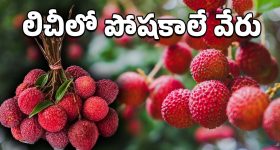 Arjun Son of Vyjayanthi Review : అర్జున్ సన్నాఫ్ వైజయంతి రివ్యూ : రొటీన్ కథ కానీ డేరింగ్ క్లైమాక్స్