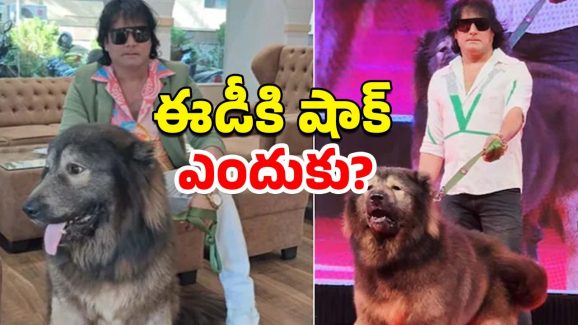 Bangalore News: కుక్క ఖరీదు రూ. 50 కోట్లు.. ఆ తర్వాత ఏం జరిగింది?