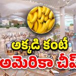 One Banana For Rs.500: ఒక అరటి పండు రూ.500 పైనే.. అక్కడికి వెళితే డబ్బులున్నా ఆహారం కొనలేం