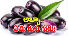 PSR Anjaneyulu: జత్వానీ న్యూడ్ ఫోటోలు.. రిమాండ్ రిపోర్టులో సంచలన విషయాలు..