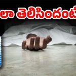 Water Bottle kills Teenager: రైలు నుంచి విసిరిన వాటర్ బాటిల్ తగిలి బాలుడు మృతి.. లోకో పైలట్‌పై కేసు