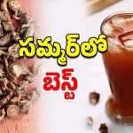 Health Benefits: సమ్మర్‌లో ఆ లక్షణాలుంటే ‘నన్నారి’ బెస్ట్ మెడిషన్