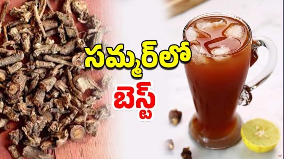 Health Benefits: సమ్మర్‌లో ఆ లక్షణాలుంటే ‘నన్నారి’ బెస్ట్ మెడిషన్
