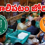 Hyderabad MLC election: హైదరాబాద్ ఎమ్మెల్సీ ఎన్నికలో ఎంఐఎం విక్టరీ, బీజేపీకి కలిసిరాని క్రాస్ ఓటింగ్