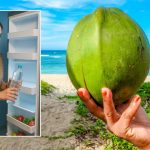 Coconut Water: కొబ్బరి నీళ్లను ఫ్రిజ్‌లో పెట్టకూడదా?