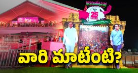BRS Sabha: బీఆర్ఎస్‌లో ఆ ‘స్టేజ్’ ఆర్టిస్టు మాటేంటి?