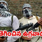 Terrrorist Kill J&K Social Activist: మళ్లీ దాడి చేసిన ఉగ్రవాదులు.. కశ్మీర్‌లో సామాజిక కార్యకర్త హత్య