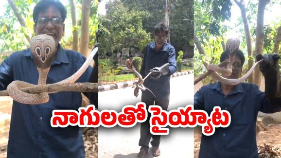 Tirumala: తిరుమలలో భయంకరమైన పాములు.. ఇదీ అసలు కథ