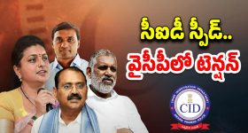 Black Spots: ముఖంపై మచ్చలు తగ్గి, తెల్లగా మెరిసిపోవాలంటే.. ఈ టిప్స్ ట్రై చేయండి