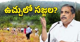 Sajjala Family: చిక్కుల్లో సజ్జల ఫ్యామిలీ.. రేపో మాపో చర్యలకు అంతా రెడీ!