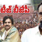 AP BJP: అన్నామలై ఔట్.. బీజేపీ రాజ్యసభ అభ్యర్థిగా వెంకట సత్యనారాయణ ఛాన్స్, ఎక్కడాయన?