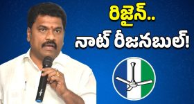 Santhosh Narayanan : ఆ రెండు సినిమాలకు పని చేస్తానని నాకు నేనుగా అడిగా