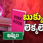 BRS Pink Book: పింక్ బుక్ రెడీ.! వడ్డీతో సహా చెల్లిస్తా!