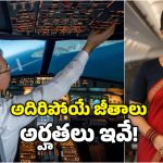 Pilot job: ఇండియాలో పైలట్‌, ఎయిర్ హోస్టెస్‌కు వచ్చే జీతం ఎంత? ఆ జాబ్స్‌కు ఎలా అప్లై చేయాలి?