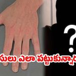 Human Thumb Parcel: రూ.5 కోట్లు ఇవ్వకపోతే చంపేస్తాం.. బిజినెస్‌మెన్ ఇంటికి మానవ బొటన వేలు పార్సిల్..