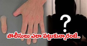 11 Driving Licenses: 11 డిఫరెంట్ లైసెన్సులు ఉన్న ఏకైక మహిళ, ఈ బామ్మ టాలెంట్ మరో లెవల్!