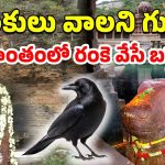 Yaganti Temple: యాగంటి దేవాలయం.. ఇప్పటికి సైన్స్‌కు కూడా అంతుచిక్కని రహస్యాలెన్నో..