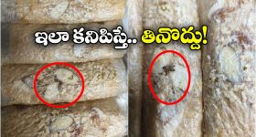 Putharekulu: డ్రై ఫ్రూట్స్ పూత రేకుల్లో పురుగులు.. తింటే అంతే సంగతులు?