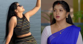Gundeninda Gudigantalu: మీనా ఒక్కరోజు రెమ్యూనరేషన్ ఎంతో తెలుసా..?