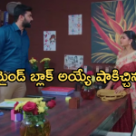 Intinti Ramayanam Today Episode: ఆరాధ్యను కాపాడిన అవని.. అక్షయ్, అవని ల మధ్య పల్లవి చిచ్చు..